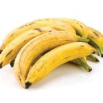 can gerbils eat banana : Plantain